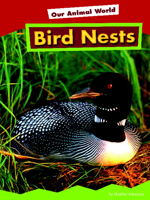 Title details for Bird Nests by Heather Adamson - Available